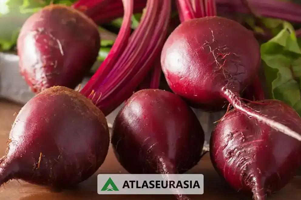 رنگ بیت روت